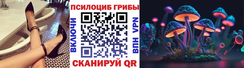 сколько стоит  Краснокаменск  Псилоцибиновые грибы мухоморы 