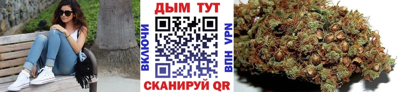 мега как зайти  Краснокаменск  Конопля Amnesia 